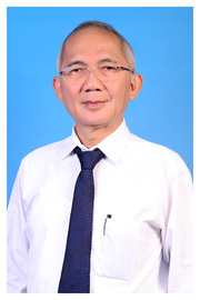 Prof. Dr. Ir EDI NOERSASONGKO M.Kom